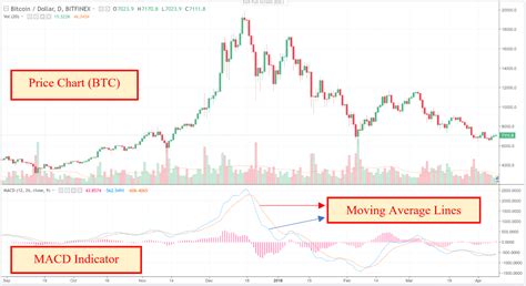 Moving Average Convergence Divergence, ERC-20, Token Burn
